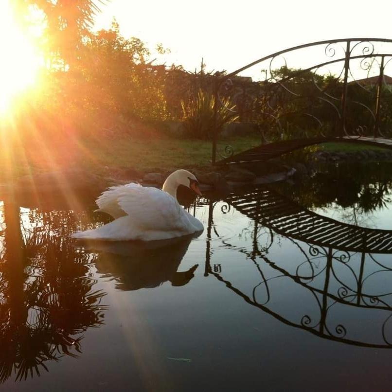 Casa Da Pedrosa Bed & Breakfast ปอนเตเดอลิมา ภายนอก รูปภาพ